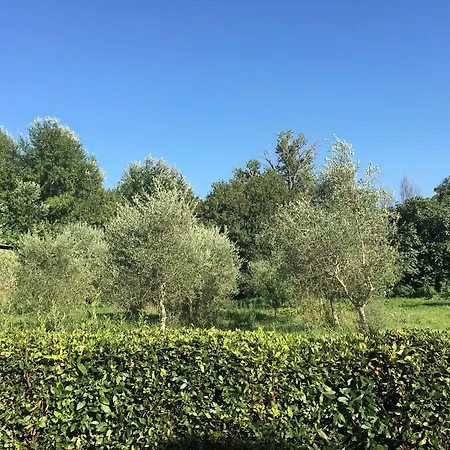 La Casa Di Ugo בית הארחה